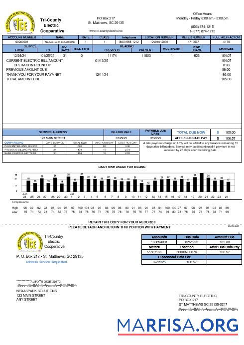 Downloadable USA Tri County Electric Cooperative business utility bill template in Word and PDF formats